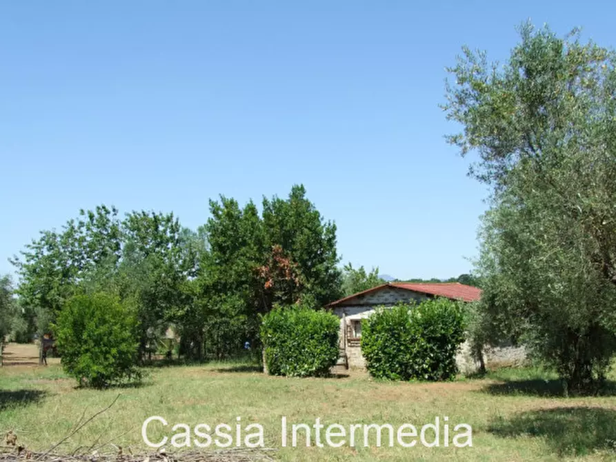 Immagine 1 di Terreno in vendita  in Via Pianella a Castel Sant'elia