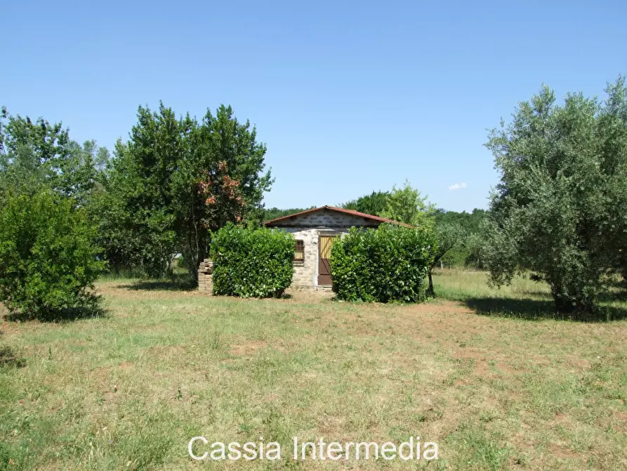 Immagine 2 di Terreno in vendita  in Via Pianella a Castel Sant'elia