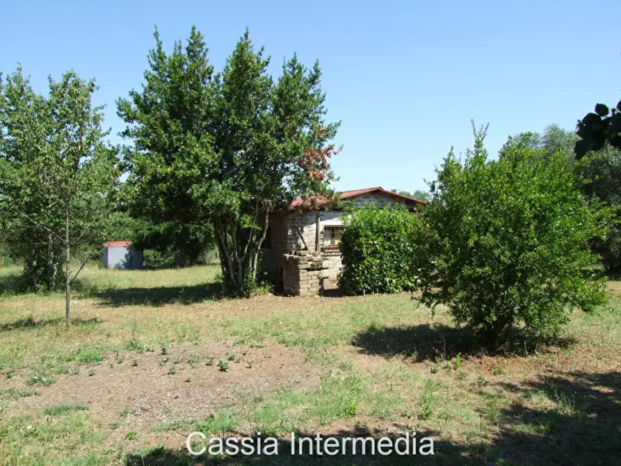 Immagine 3 di Terreno in vendita  in Via Pianella a Castel Sant'elia