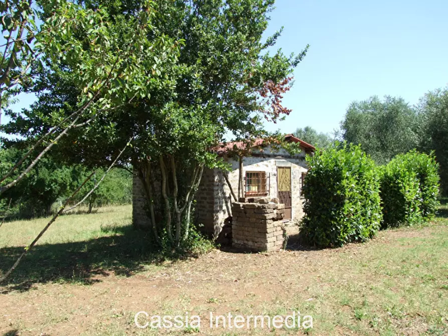Immagine 4 di Terreno in vendita  in Via Pianella a Castel Sant'elia