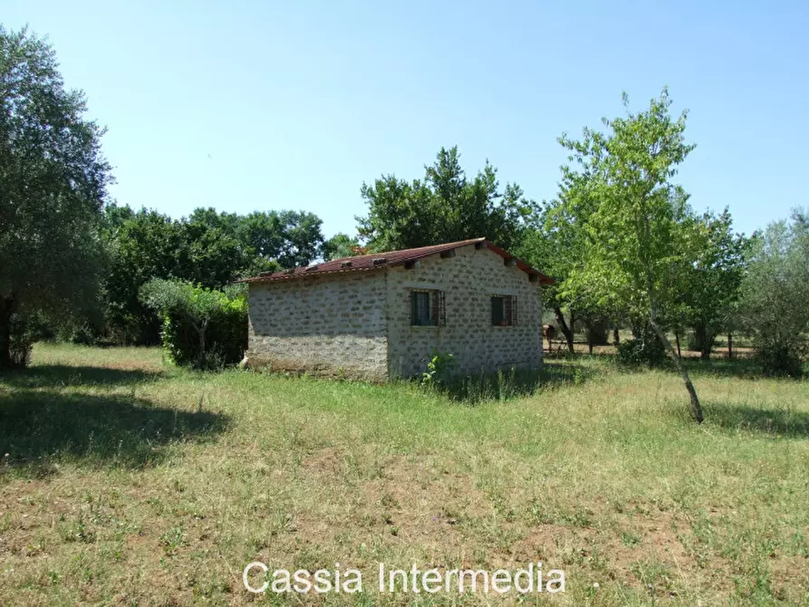 Immagine 5 di Terreno in vendita  in Via Pianella a Castel Sant'elia