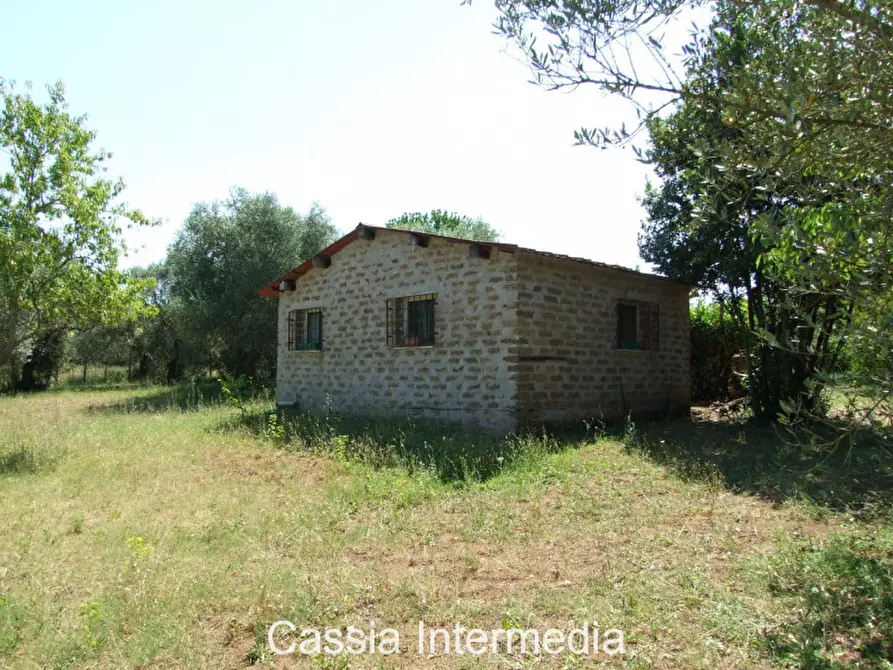 Immagine 6 di Terreno in vendita  in Via Pianella a Castel Sant'elia