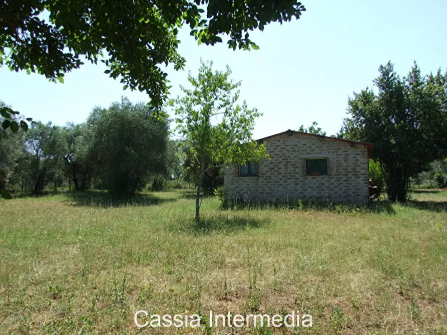 Immagine 7 di Terreno in vendita  in Via Pianella a Castel Sant'elia
