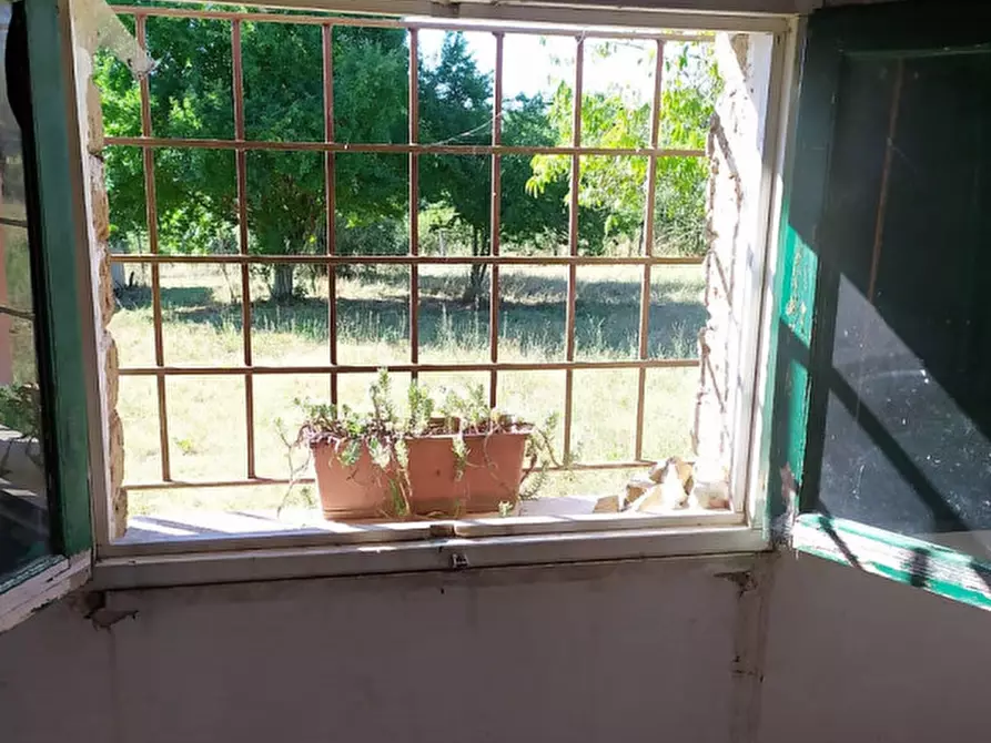 Immagine 10 di Terreno in vendita  in Via Pianella a Castel Sant'elia