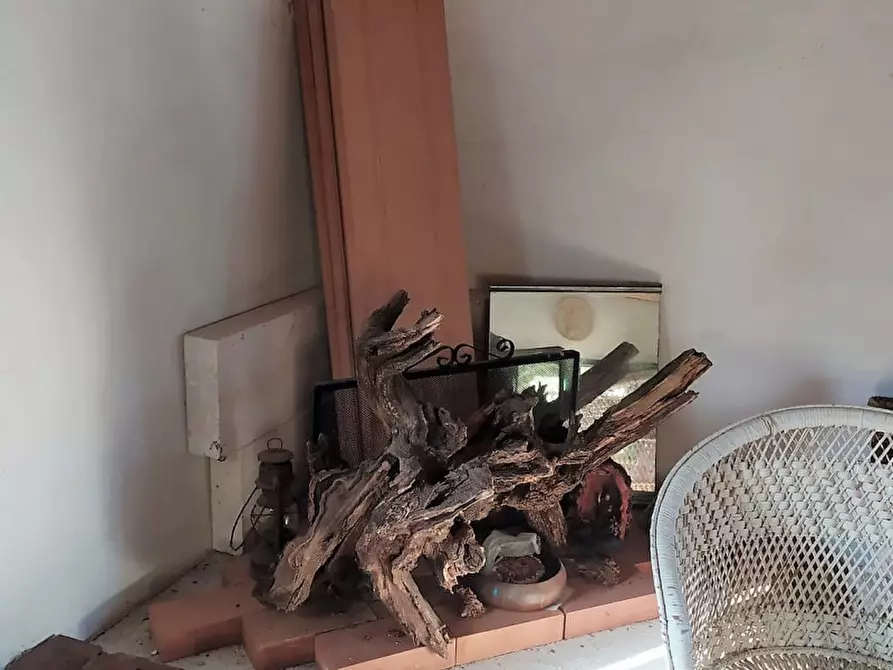 Immagine 15 di Terreno in vendita  in Via Pianella a Castel Sant'elia