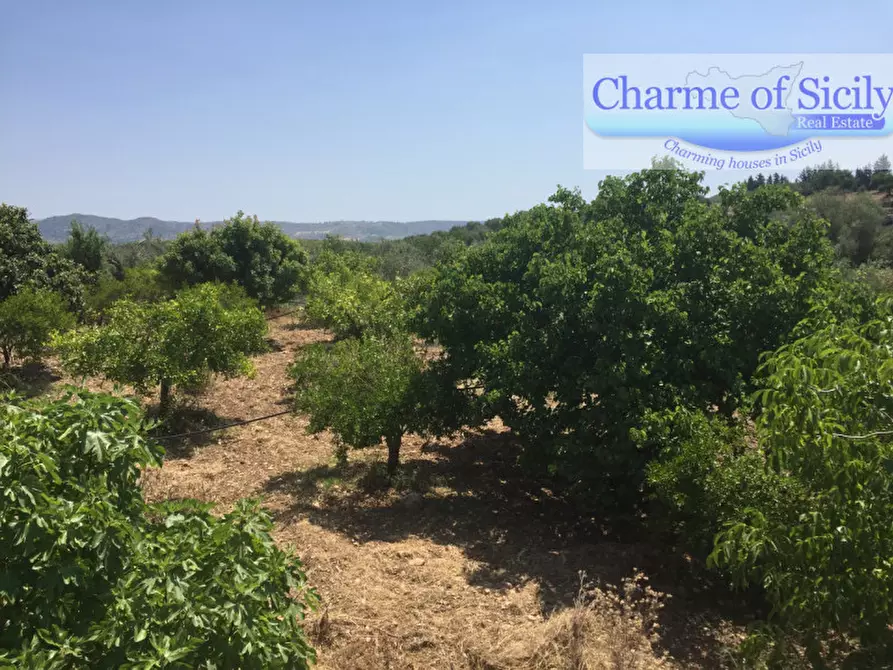 Immagine 4 di Terreno in vendita  in Contrada Pirainito a Rosolini