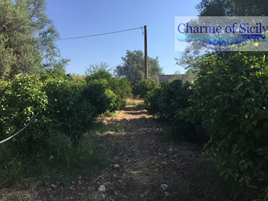 Immagine 6 di Terreno in vendita  in Contrada Pirainito a Rosolini