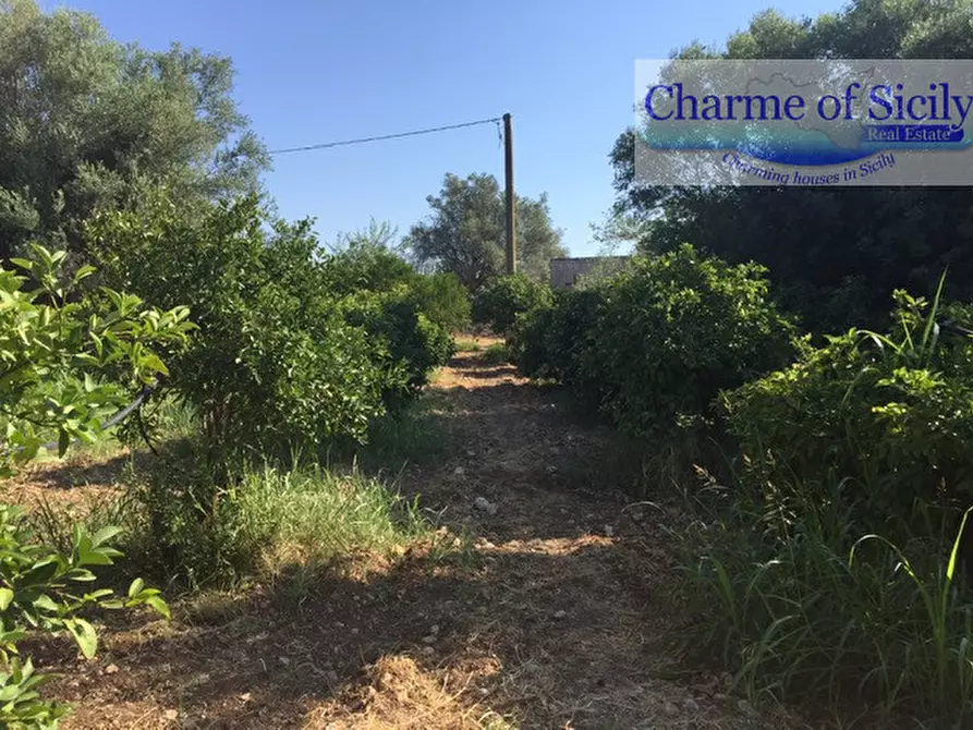 Immagine 7 di Terreno in vendita  in Contrada Pirainito a Rosolini