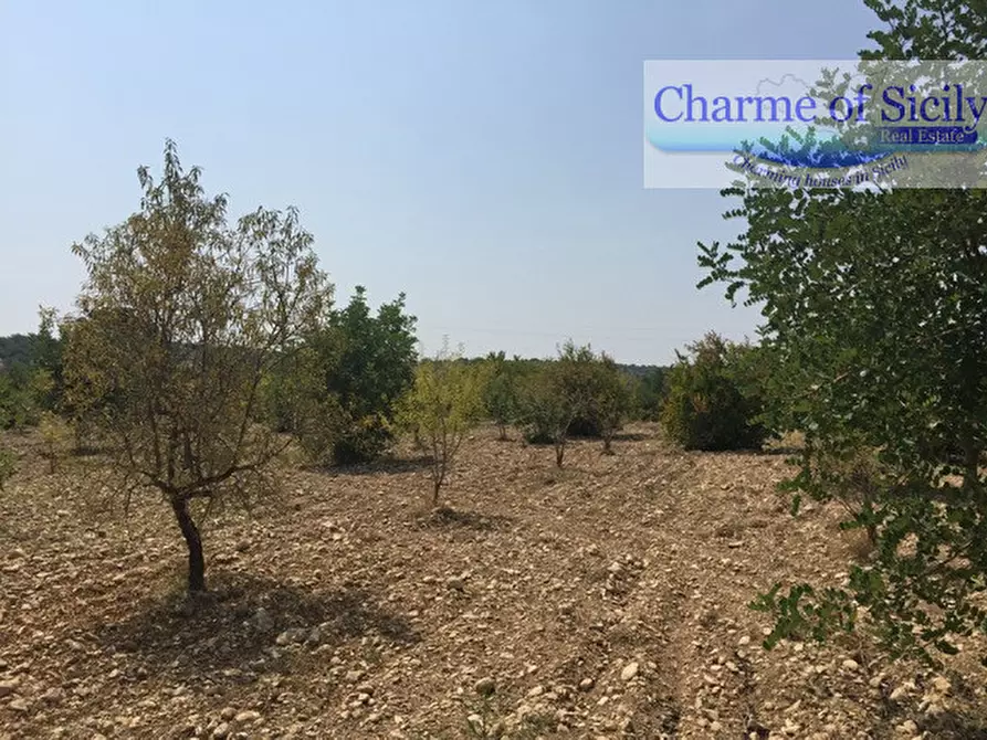 Immagine 10 di Terreno in vendita  in Contrada Pirainito a Rosolini
