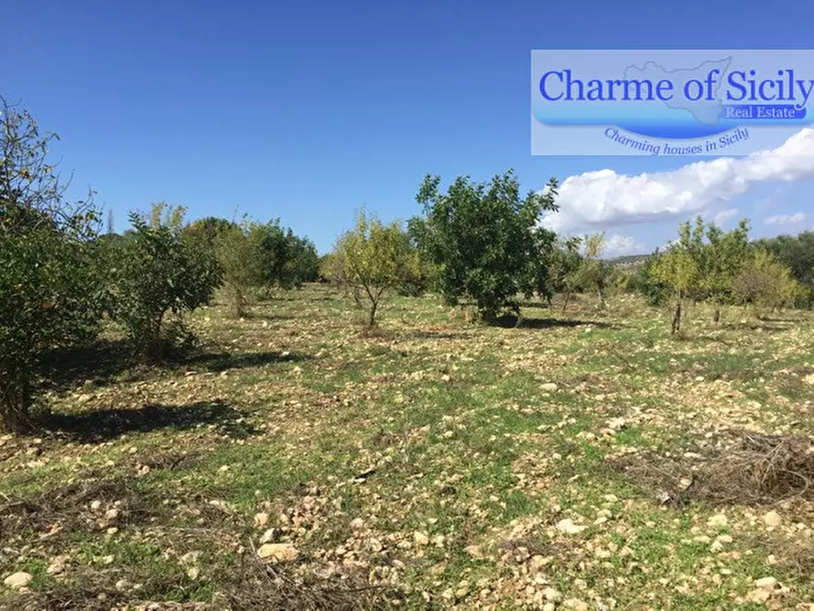 Immagine 13 di Terreno in vendita  in Contrada Pirainito a Rosolini