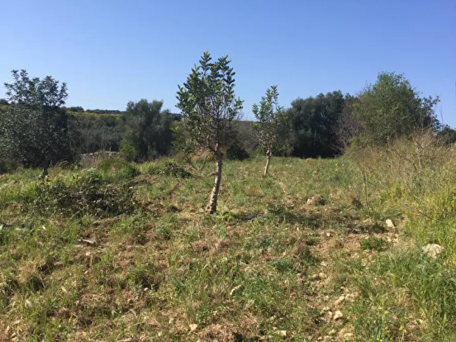 Immagine 15 di Terreno in vendita  in Contrada Pirainito a Rosolini