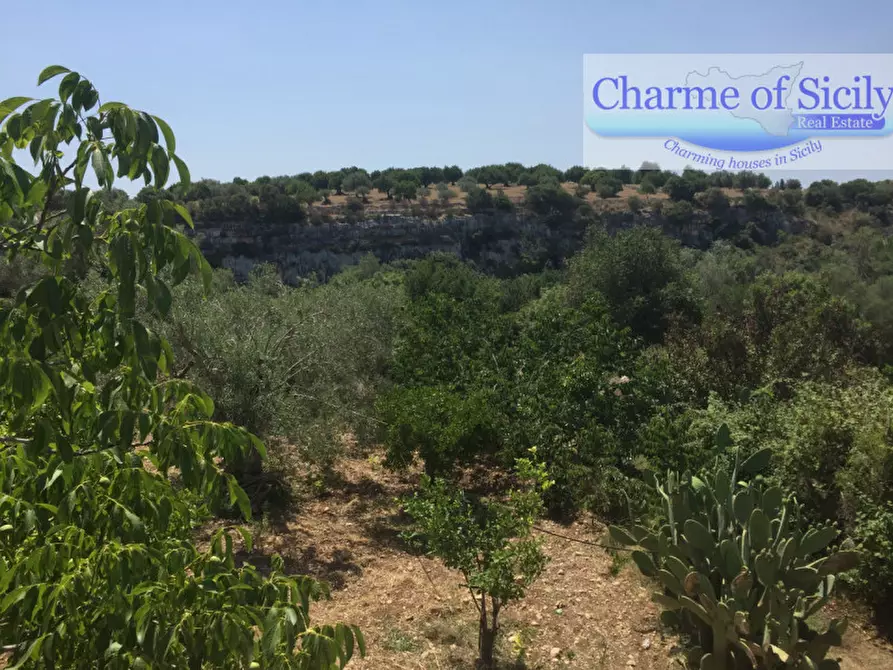 Immagine 16 di Terreno in vendita  in Contrada Pirainito a Rosolini