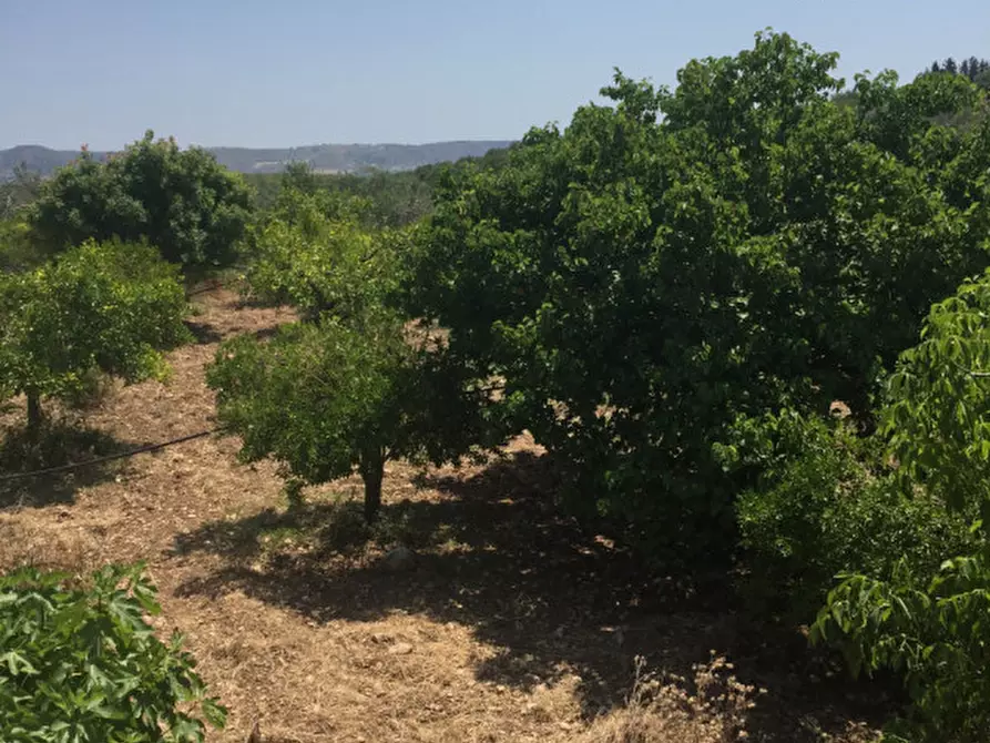 Immagine 17 di Terreno in vendita  in Contrada Pirainito a Rosolini