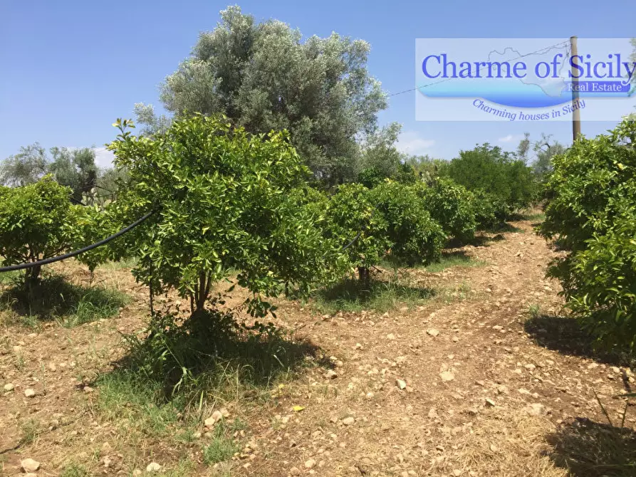 Immagine 18 di Terreno in vendita  in Contrada Pirainito a Rosolini