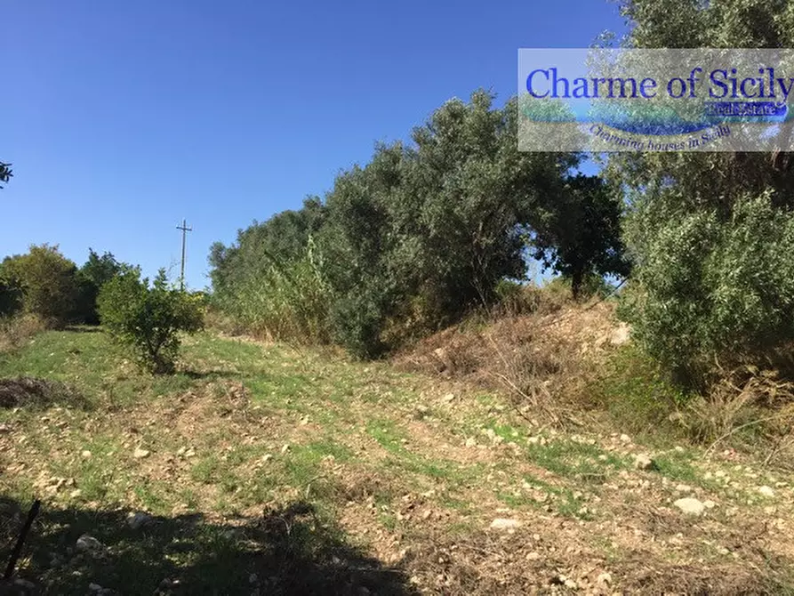 Immagine 19 di Terreno in vendita  in Contrada Pirainito a Rosolini