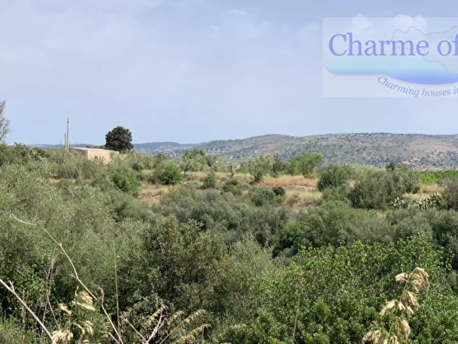 Immagine 20 di Terreno in vendita  in Contrada Pirainito a Rosolini