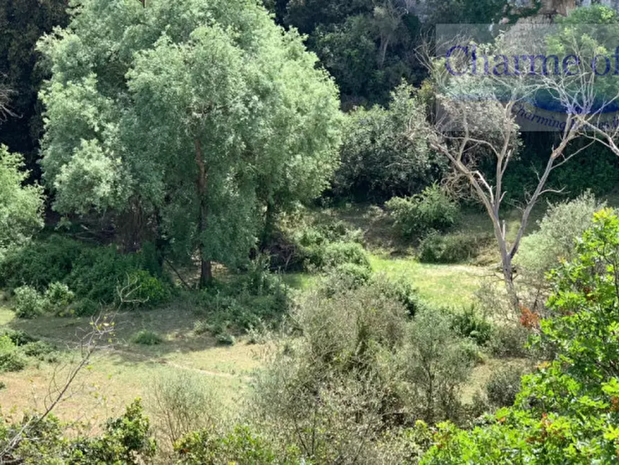 Immagine 22 di Terreno in vendita  in Contrada Pirainito a Rosolini