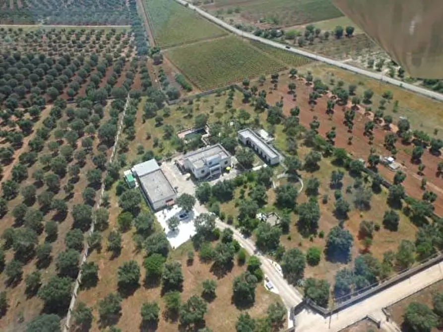 Immagine 4 di Agriturismo in vendita  in C.da La Grava a Sava