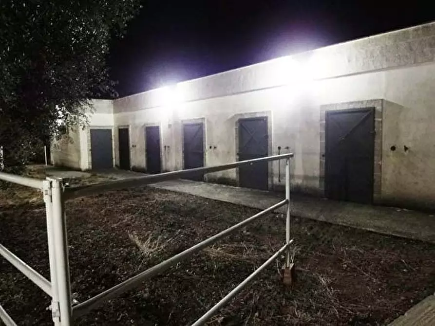 Immagine 6 di Agriturismo in vendita  in C.da La Grava a Sava