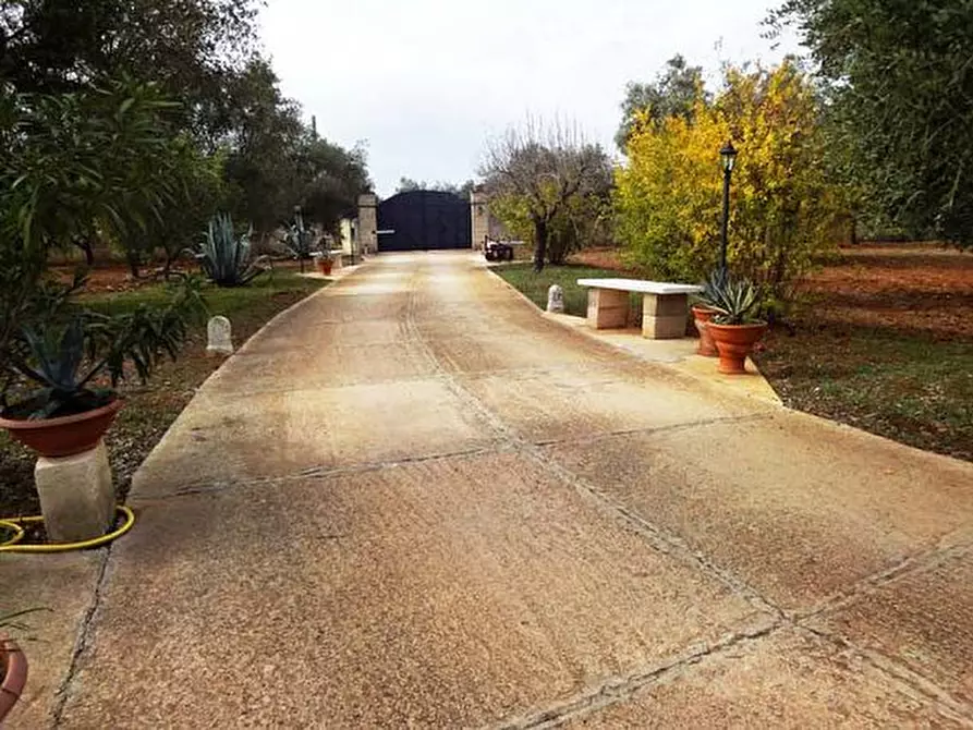 Immagine 12 di Agriturismo in vendita  in C.da La Grava a Sava