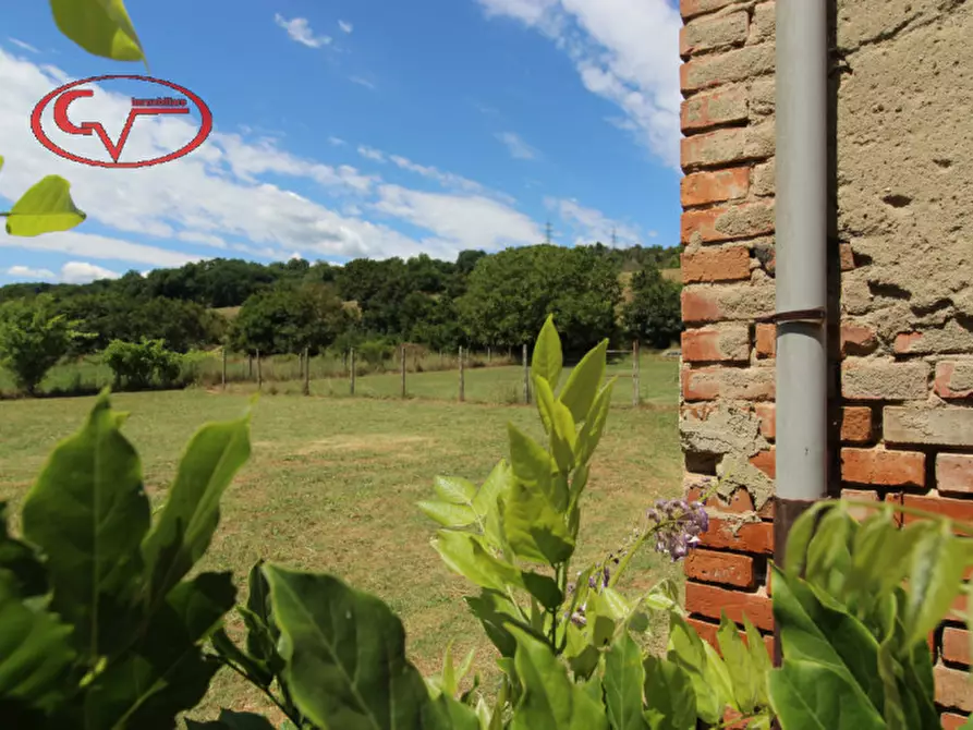 Immagine 4 di Rustico / casale in vendita  in Porcellino a San Giovanni Valdarno
