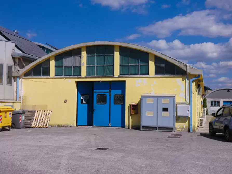 Immagine 7 di Capannone industriale in vendita  in via delle Rose a Cagli
