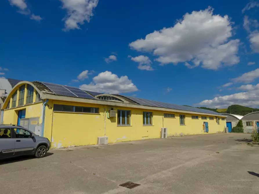 Immagine 8 di Capannone industriale in vendita  in via delle Rose a Cagli