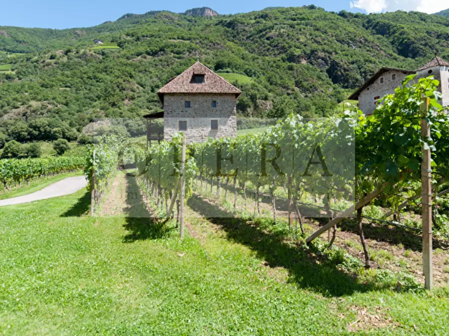 Immagine 1 di Villa in vendita  a Terlano .Terlan.