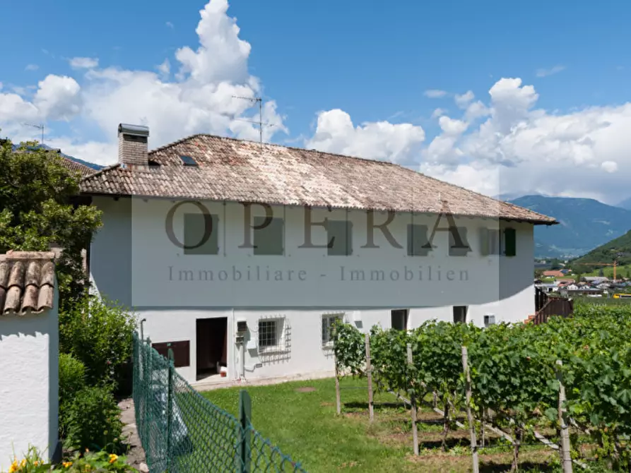 Immagine 4 di Villa in vendita  a Terlano .Terlan.