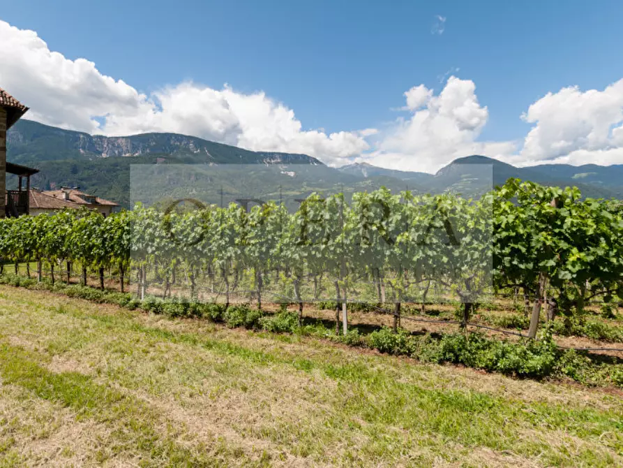 Immagine 6 di Villa in vendita  a Terlano .Terlan.