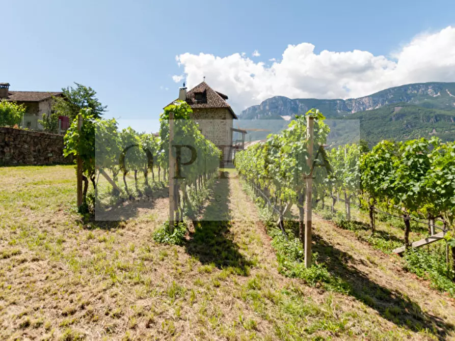 Immagine 7 di Villa in vendita  a Terlano .Terlan.
