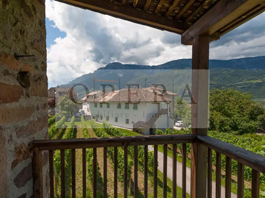 Immagine 10 di Villa in vendita  a Terlano .Terlan.