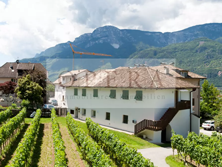 Immagine 11 di Villa in vendita  a Terlano .Terlan.