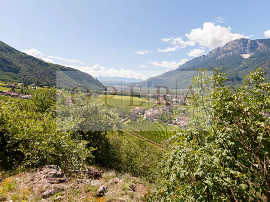 Immagine 12 di Villa in vendita  a Terlano .Terlan.