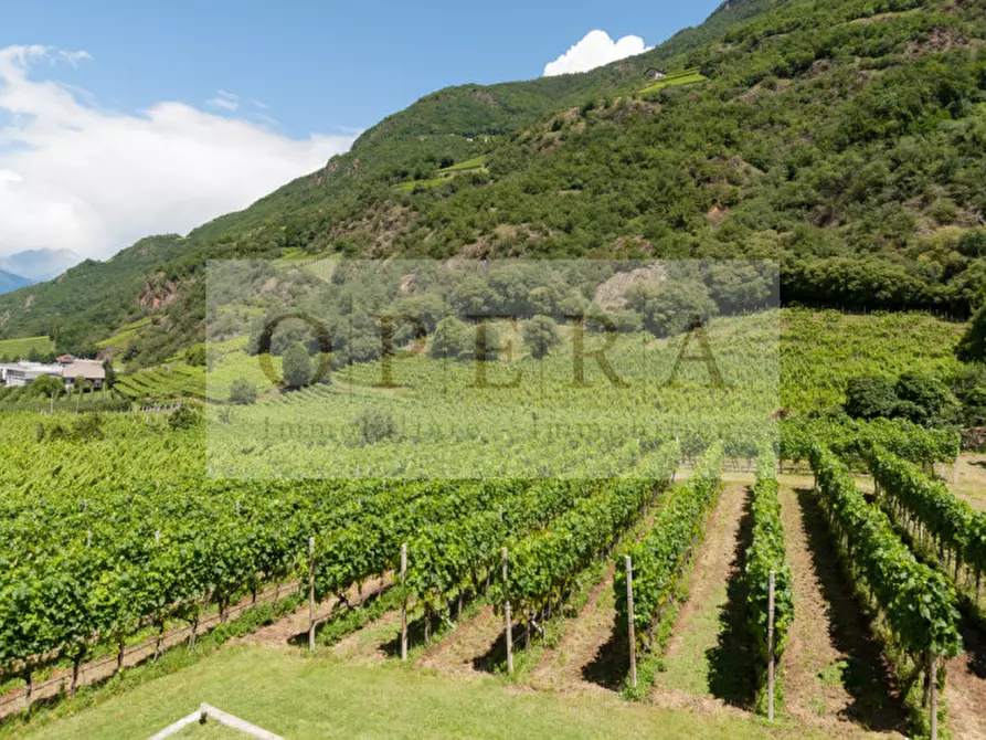 Immagine 13 di Villa in vendita  a Terlano .Terlan.