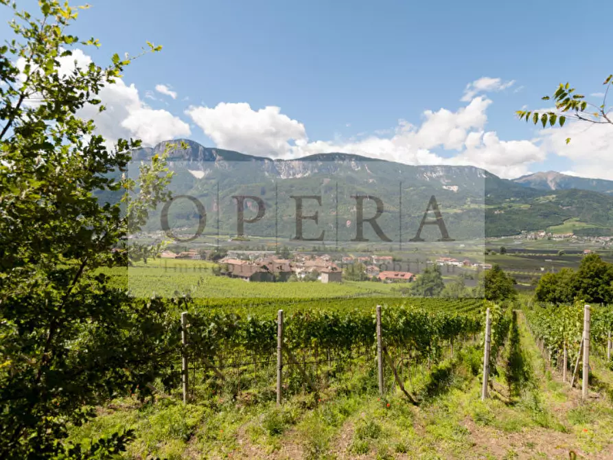Immagine 26 di Villa in vendita  a Terlano .Terlan.