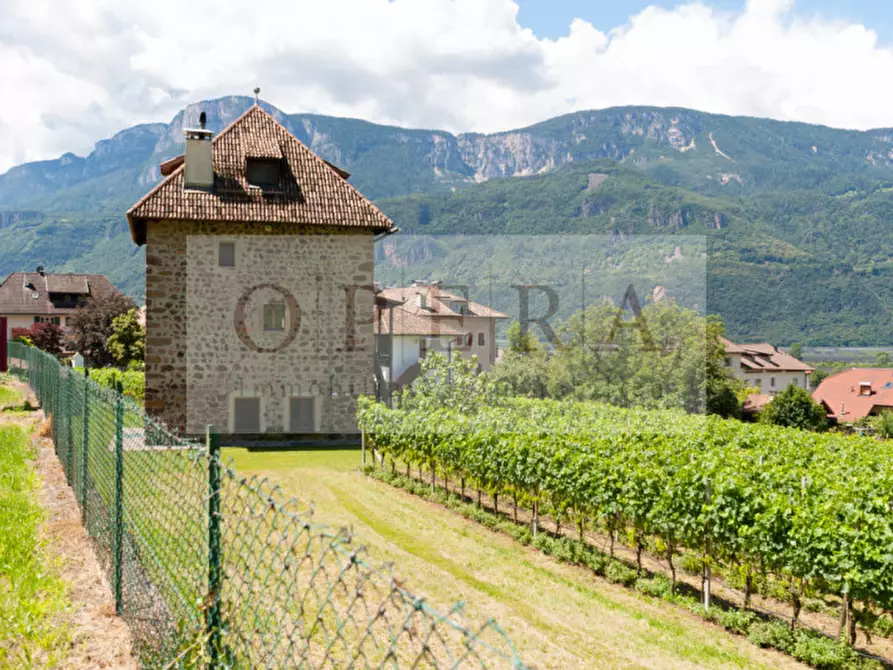 Immagine 31 di Villa in vendita  a Terlano .Terlan.