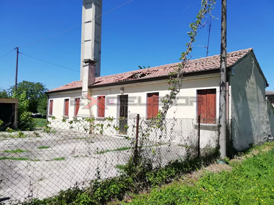 Immagine 3 di Casa indipendente in vendita  a Cavarzere