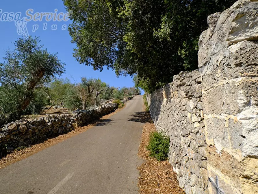 Immagine 2 di Villa in vendita  a Neviano