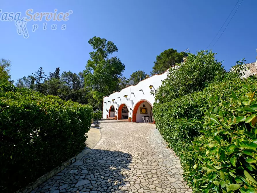 Immagine 4 di Villa in vendita  a Neviano