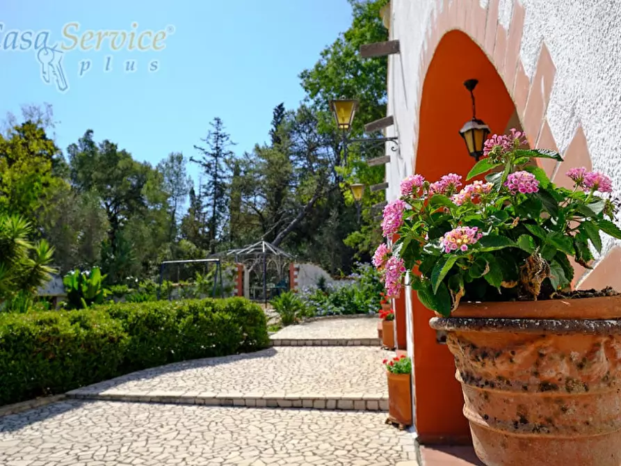 Immagine 13 di Villa in vendita  a Neviano