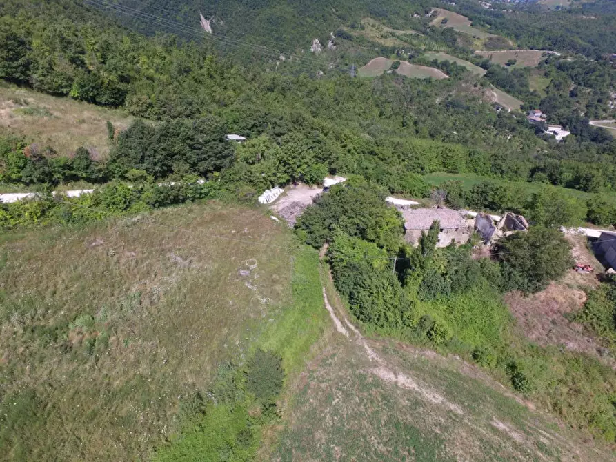 Immagine 3 di Rustico / casale in vendita  in pian di balbano a Cantiano