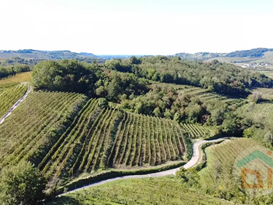 Immagine 5 di Casa bifamiliare in vendita  in Località Quarnizza a Dolegna Del Collio