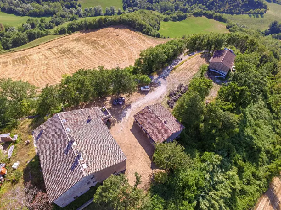 Immagine 4 di Rustico / casale in vendita  in via Monte Peruzzo a Cagli