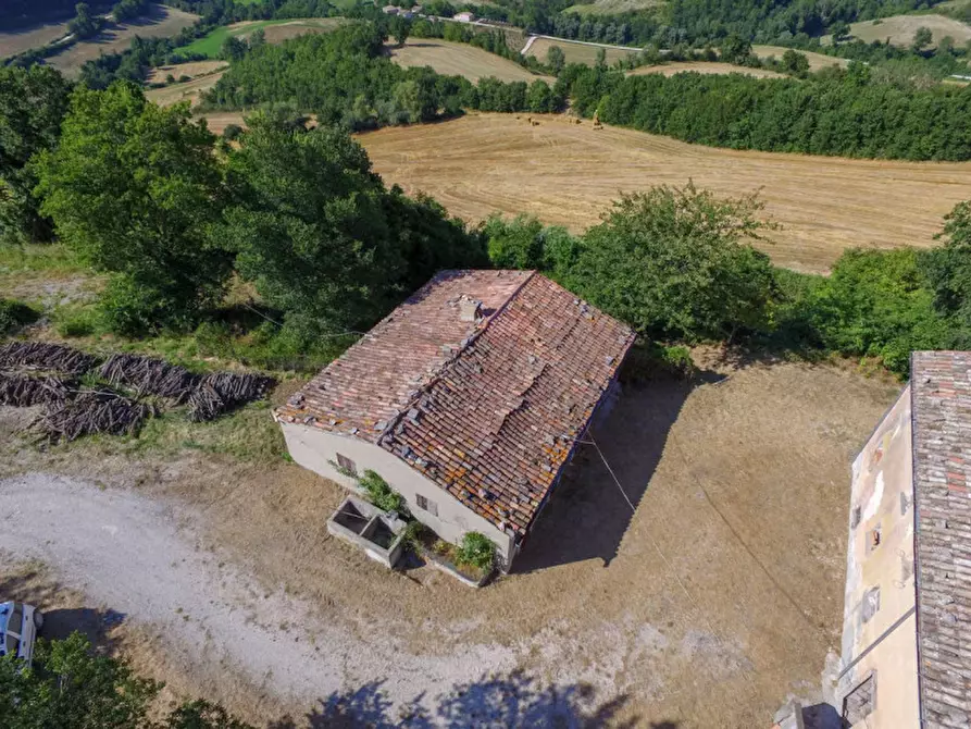 Immagine 8 di Rustico / casale in vendita  in via Monte Peruzzo a Cagli