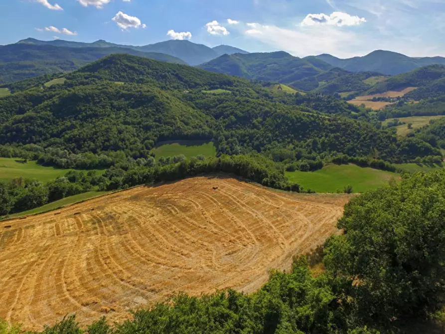 Immagine 10 di Rustico / casale in vendita  in via Monte Peruzzo a Cagli
