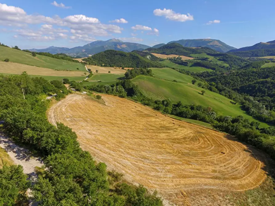 Immagine 20 di Rustico / casale in vendita  in via Monte Peruzzo a Cagli
