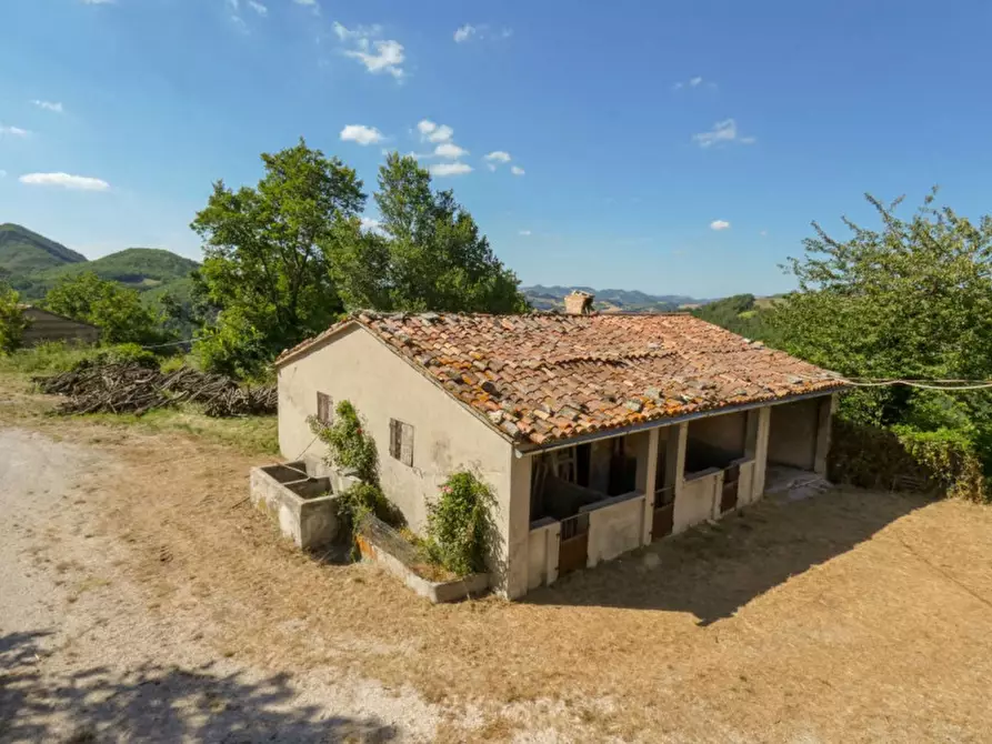 Immagine 29 di Rustico / casale in vendita  in via Monte Peruzzo a Cagli