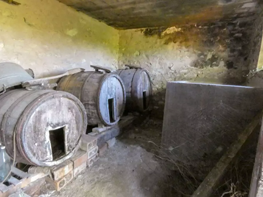 Immagine 37 di Rustico / casale in vendita  in via Monte Peruzzo a Cagli