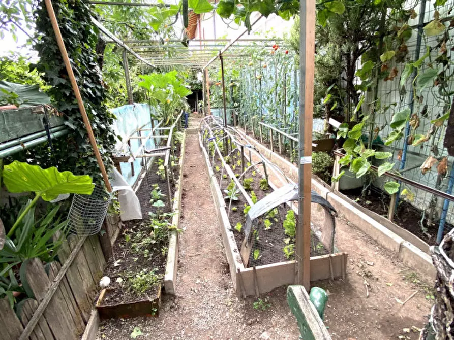 Immagine 26 di Palazzo in vendita  in Piazza Santa Margherita a Valvasone Arzene